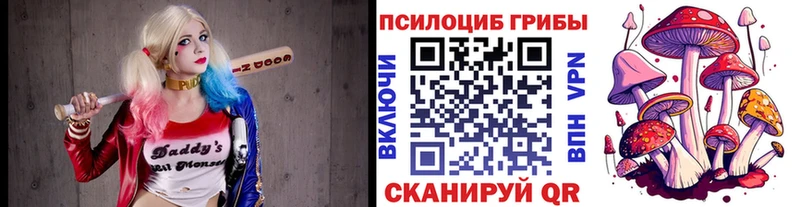 Галлюциногенные грибы прущие грибы  Луга 